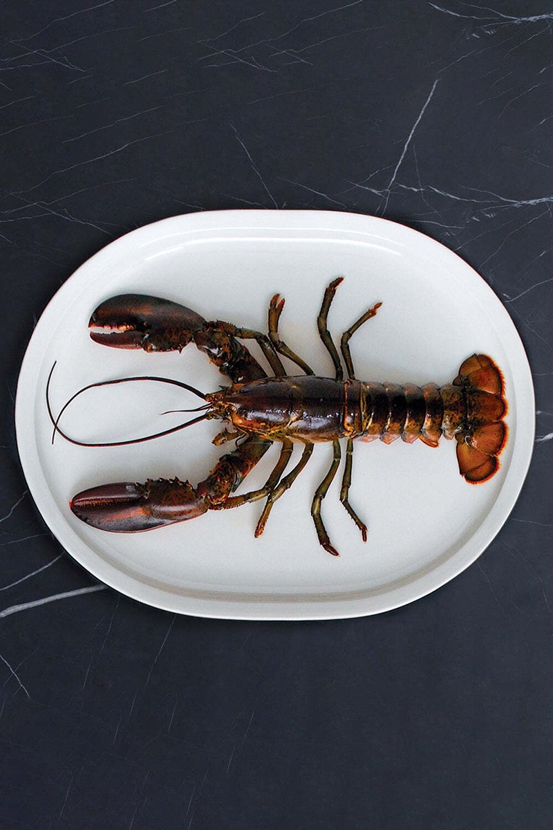 Тарелка Loveramics Er-go! 43cm Turkey Platter (White)